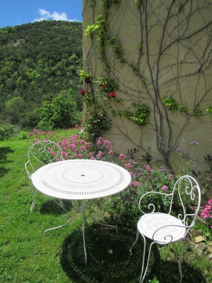 La Ferme De La Condamine Bed & Breakfast Saint-Andre-de-Rosans Bagian luar foto